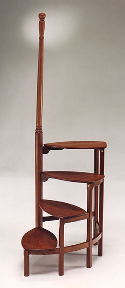 Library Ladder